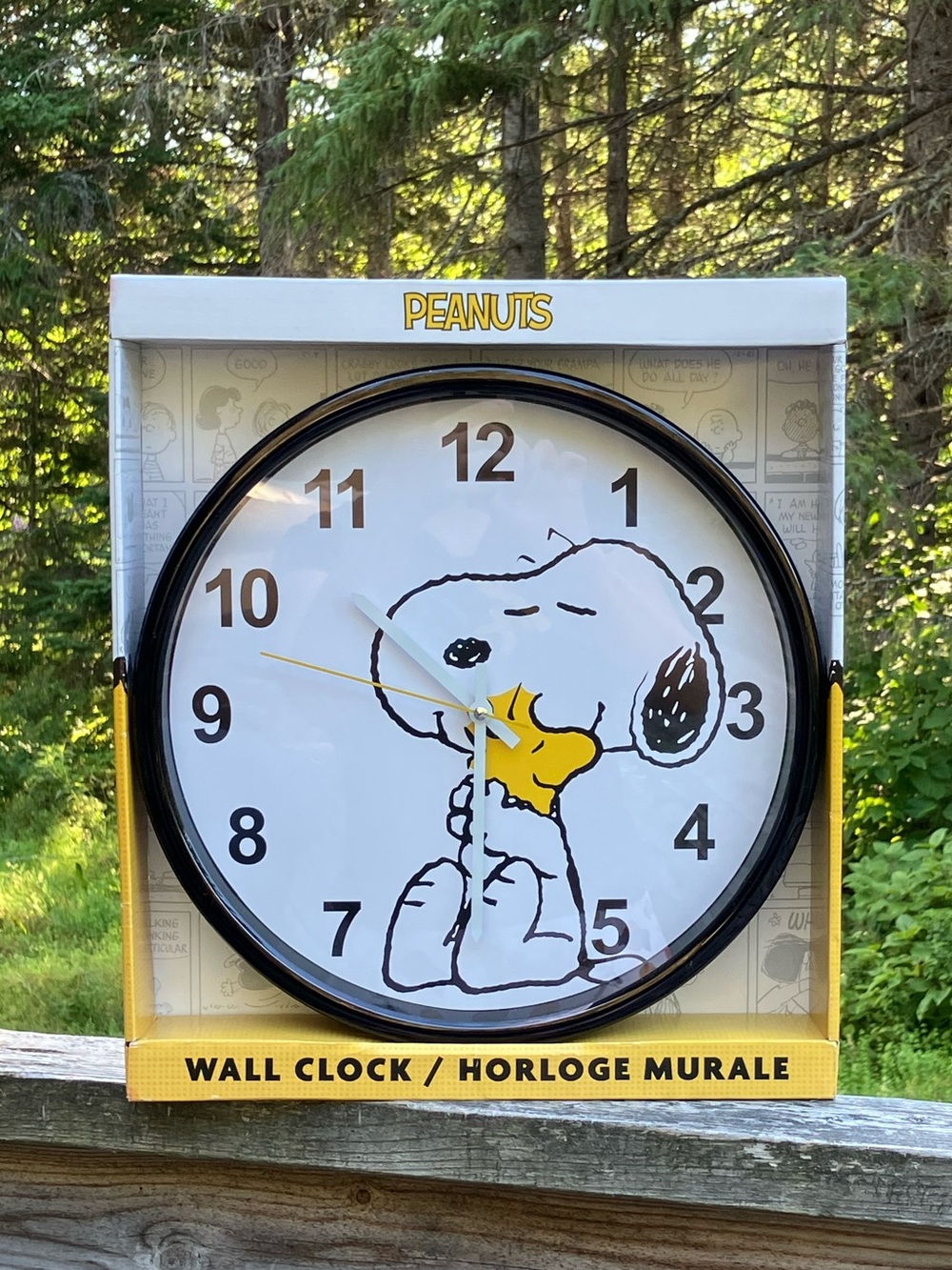 Peanuts “Snoopy & Woodstock hugging” Large Wall Clock